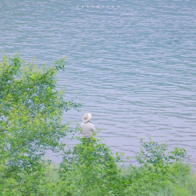 兽设花海场景绘制福瑞交流群